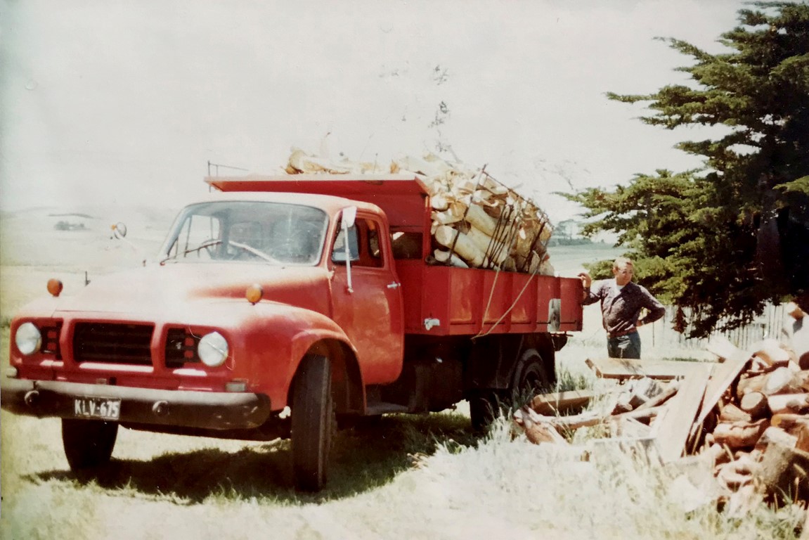 Frank Duke Trees circa 1980